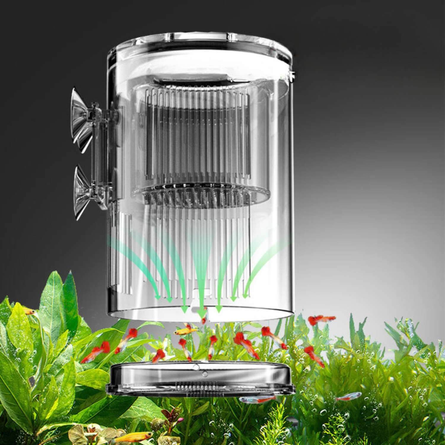 Acryl kweekdoos met deksel en zuignappen